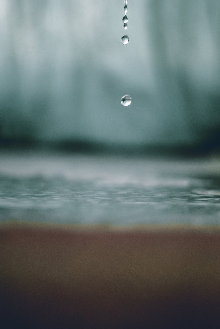 water drop selective focus photography